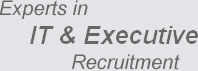 Experts in IT & Executive Recruitment